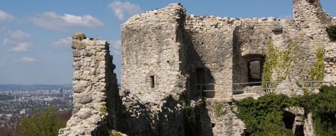 Burgruine Schloss Birseck